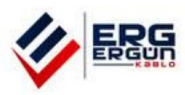 erg_ergin